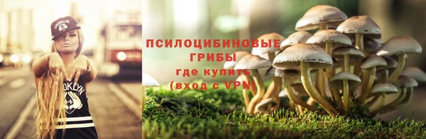 стаф Алексин
