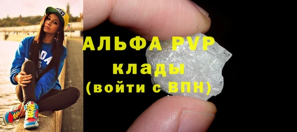 стаф Алексин