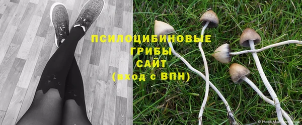 гашик Алексеевка