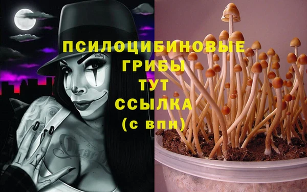 молекула духа Алзамай