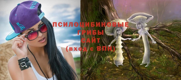 стаф Алексин