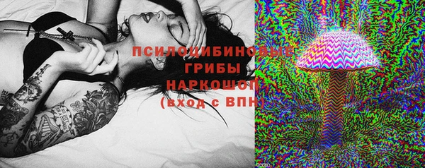 стаф Алексин