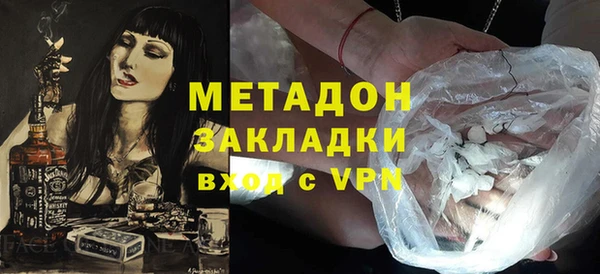 стаф Алексин