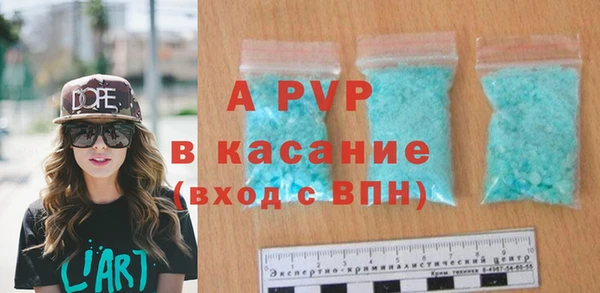 стаф Алексин