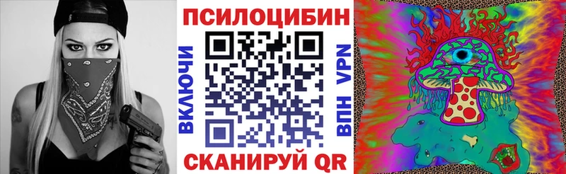 Галлюциногенные грибы Psilocybine cubensis  Чадан 