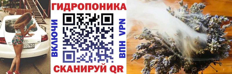 Бошки Шишки AK-47  Чадан 